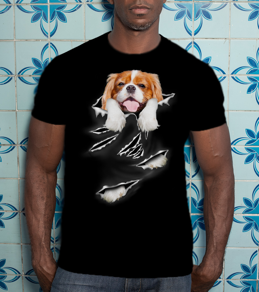 Cavalier King Charles Spaniel Scratch Torn Paws And Face Peeking Through T-Shirt