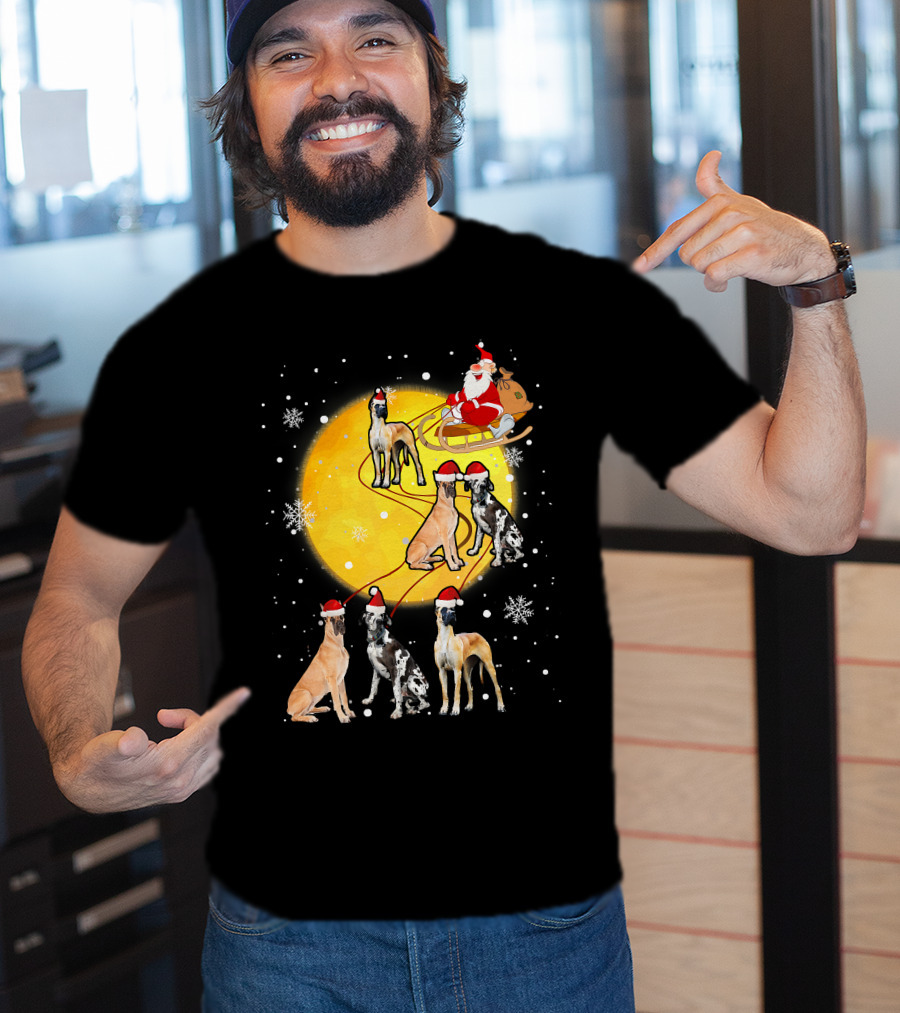 Santa Claus Sleigh Great Dane Reindeer Pack Moon Snowflakes T-Shirt