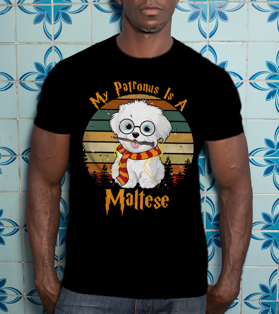 My Patronus Is A Maltese Dog With Wizard Glasses And Scarf In Colorful Circle T-Shirt