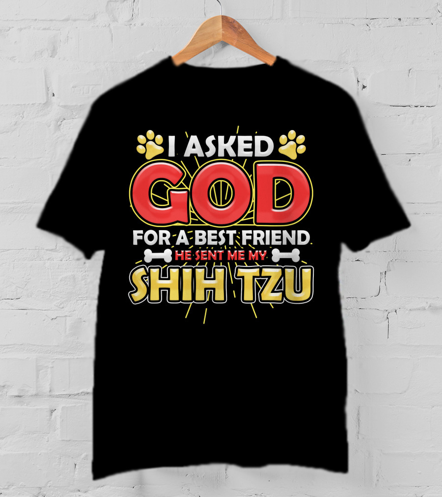 I Asked God For A Best Friend He Sent Me My Shih Tzu T-Shirt